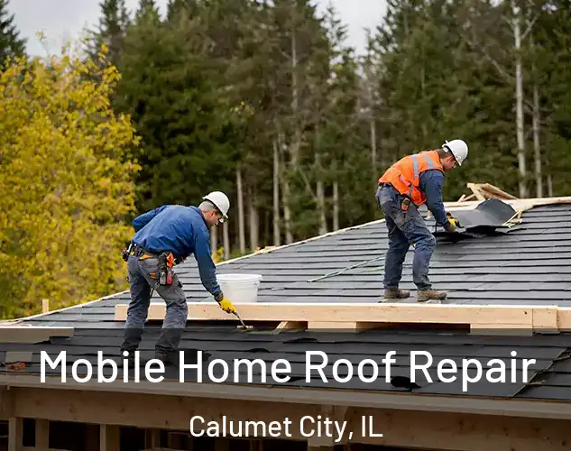  Mobile Home Roof Repair Calumet City, IL