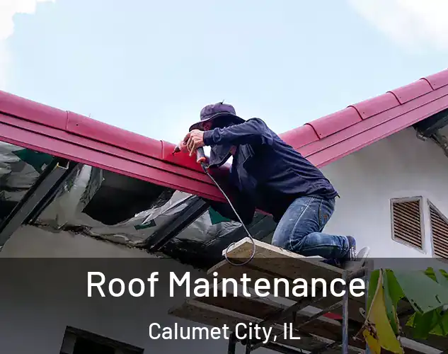  Roof Maintenance Calumet City, IL